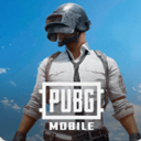 pubg地铁逃生国际服手游