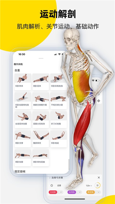 3dbody解剖app游戏展示图