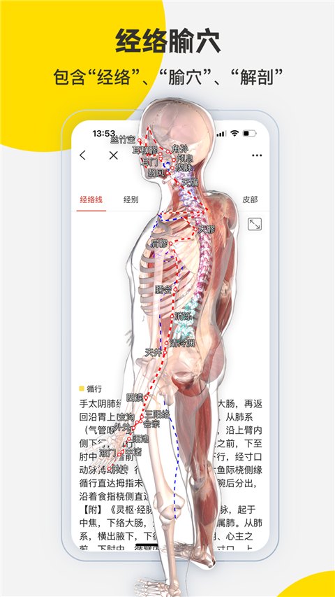 3dbody解剖app游戏展示图